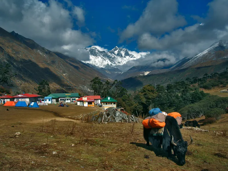 Tengboche to Kathmandu Helicopter Return | Helicopter tour package in Everest Region