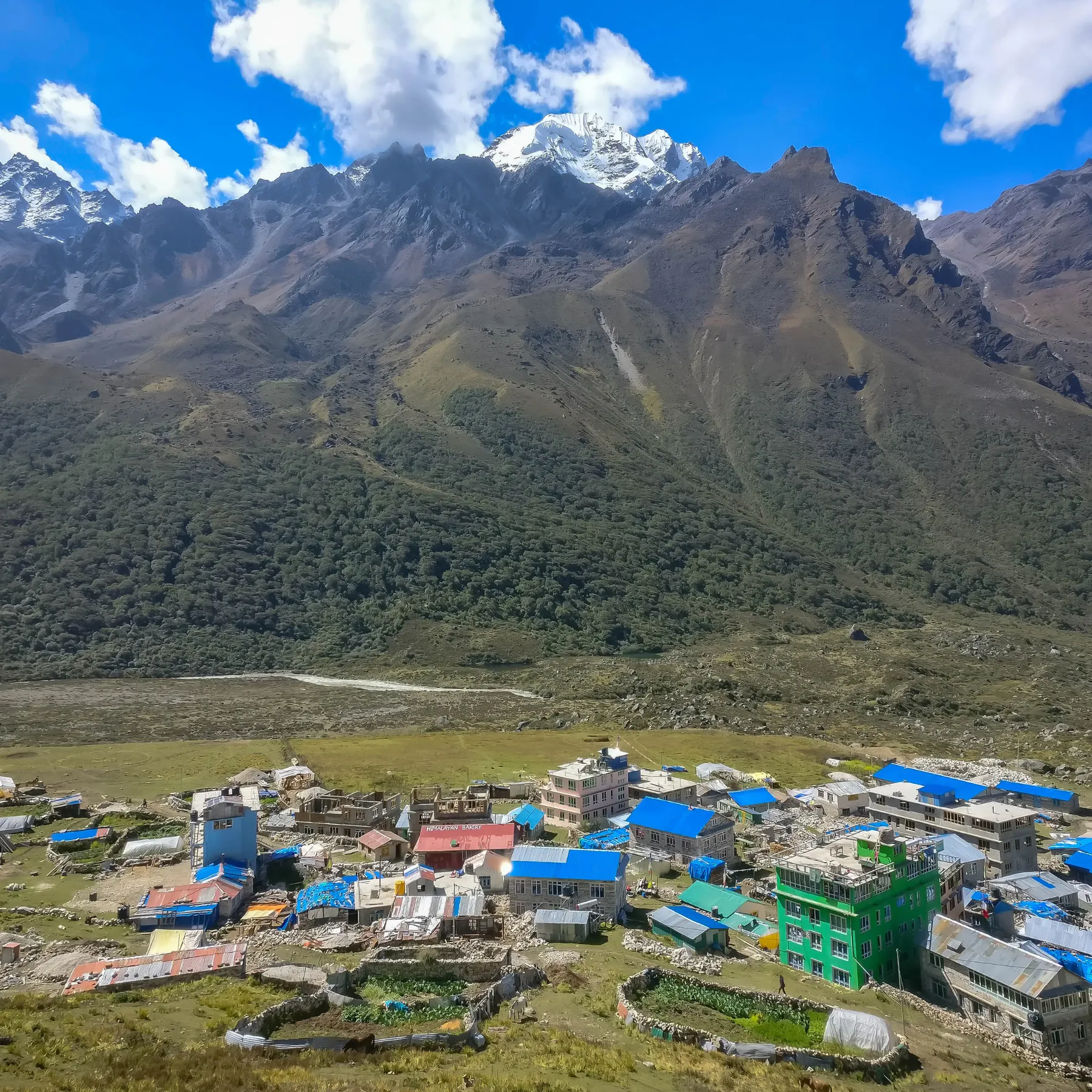 Langtang Helicopter Tour helicopter tour in Nepal